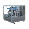 RL6-300B全自動(dòng)給袋式包裝機(jī)